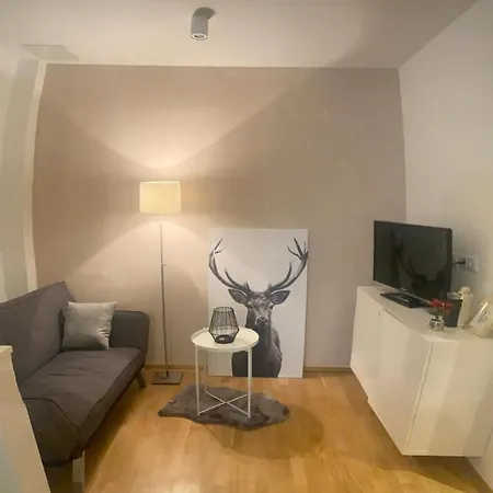 Appartamento In Graz-geidorf *